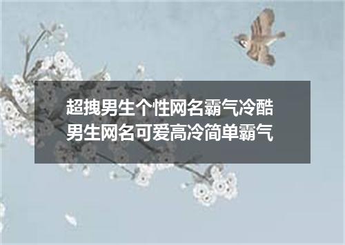 超拽男生个性网名霸气冷酷 男生网名可爱高冷简单霸气
