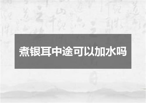 煮银耳中途可以加水吗