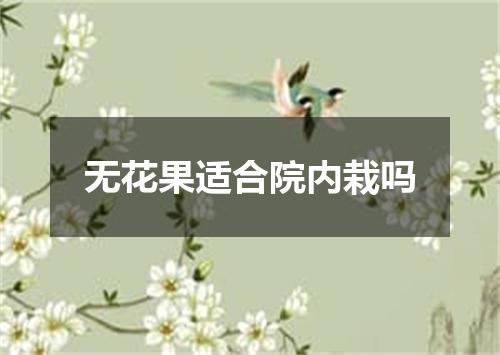 无花果适合院内栽吗