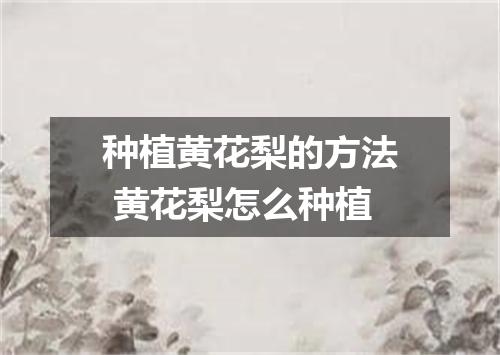 种植黄花梨的方法 黄花梨怎么种植