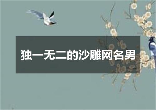 独一无二的沙雕网名男