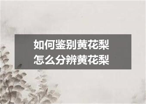 如何鉴别黄花梨 怎么分辨黄花梨