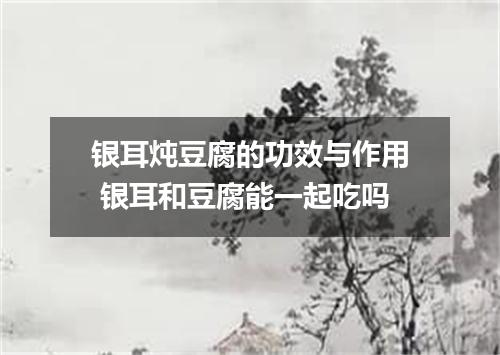 银耳炖豆腐的功效与作用 银耳和豆腐能一起吃吗