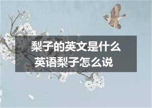 梨子的英文是什么 英语梨子怎么说