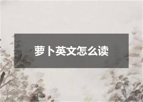 萝卜英文怎么读