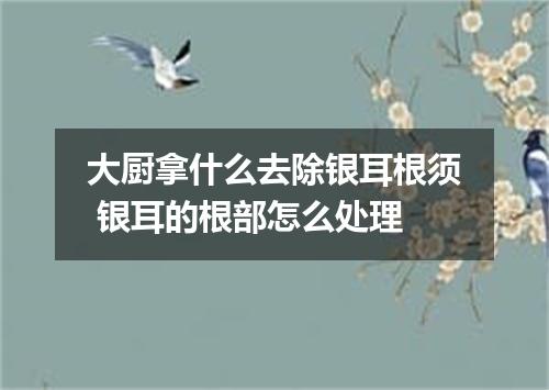 大厨拿什么去除银耳根须 银耳的根部怎么处理