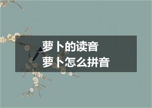 萝卜的读音 萝卜怎么拼音