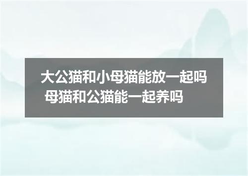 大公猫和小母猫能放一起吗 母猫和公猫能一起养吗