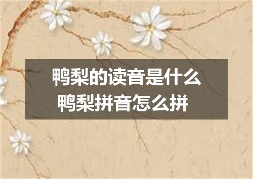 鸭梨的读音是什么 鸭梨拼音怎么拼