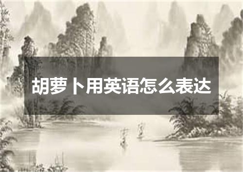 胡萝卜用英语怎么表达