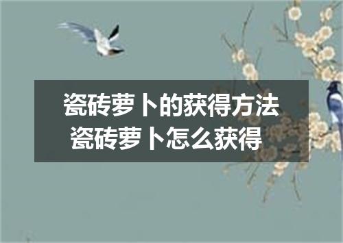 瓷砖萝卜的获得方法 瓷砖萝卜怎么获得