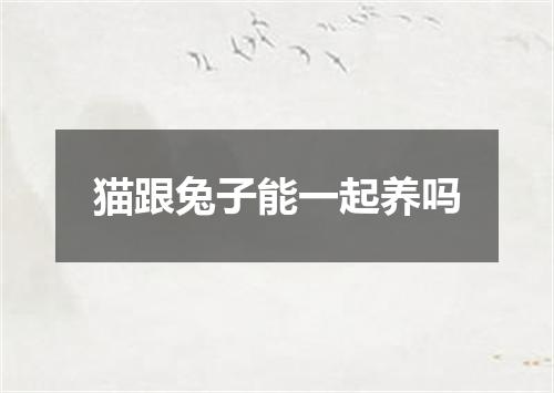 猫跟兔子能一起养吗