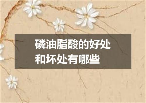 磷油脂酸的好处和坏处有哪些