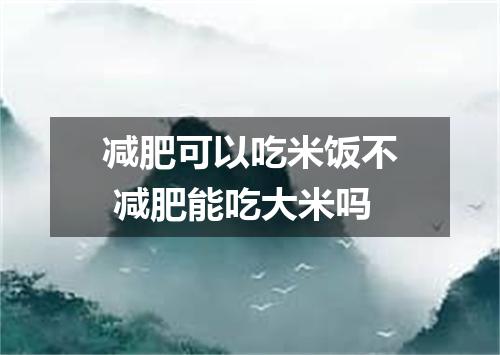 减肥可以吃米饭不 减肥能吃大米吗