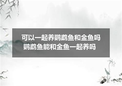 可以一起养鹦鹉鱼和金鱼吗 鹦鹉鱼能和金鱼一起养吗