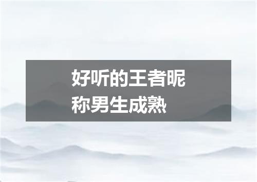 好听的王者昵称男生成熟