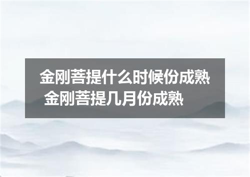 金刚菩提什么时候份成熟 金刚菩提几月份成熟