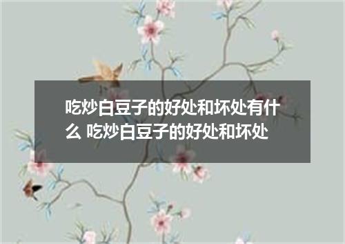 吃炒白豆子的好处和坏处有什么 吃炒白豆子的好处和坏处