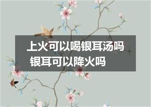 上火可以喝银耳汤吗 银耳可以降火吗