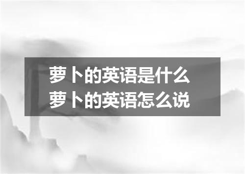 萝卜的英语是什么 萝卜的英语怎么说