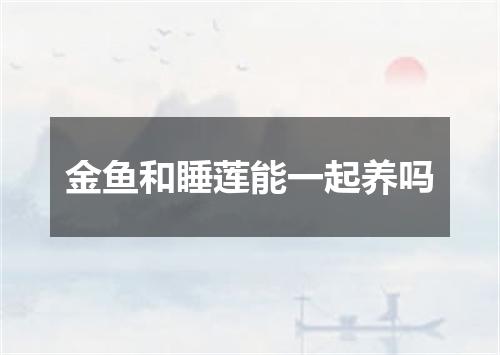 金鱼和睡莲能一起养吗