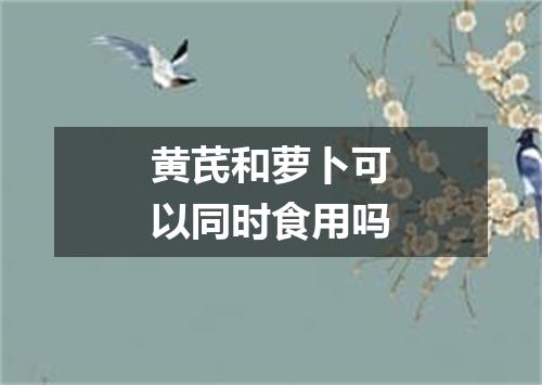 黄芪和萝卜可以同时食用吗