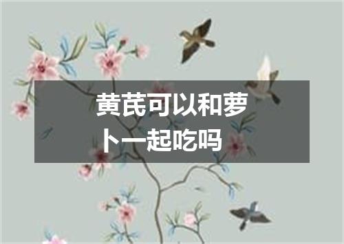 黄芪可以和萝卜一起吃吗