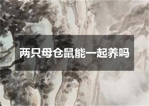 两只母仓鼠能一起养吗