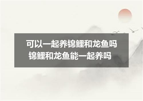 可以一起养锦鲤和龙鱼吗 锦鲤和龙鱼能一起养吗