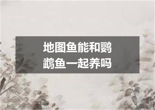 地图鱼能和鹦鹉鱼一起养吗