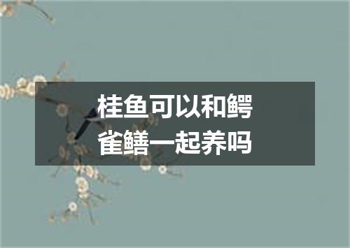 桂鱼可以和鳄雀鳝一起养吗