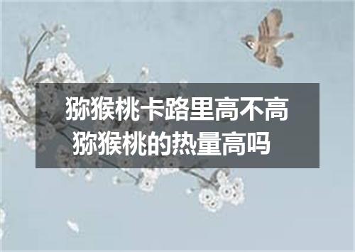 猕猴桃卡路里高不高 猕猴桃的热量高吗