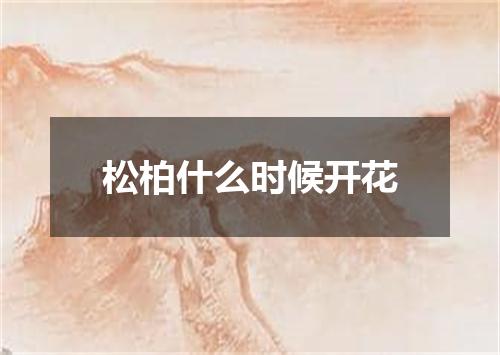 松柏什么时候开花