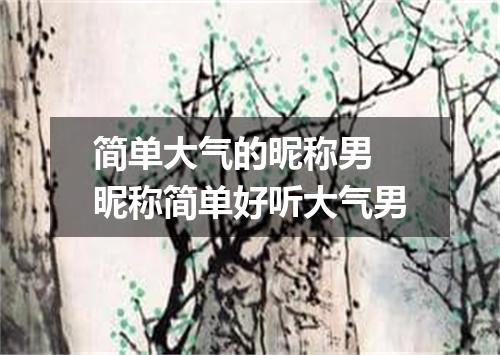 简单大气的昵称男 昵称简单好听大气男