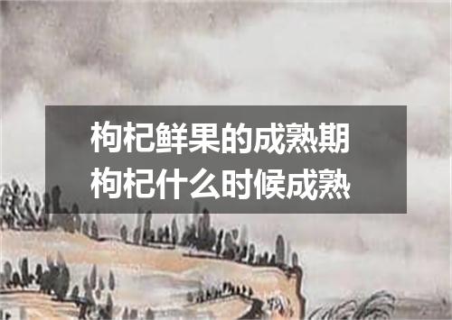 枸杞鲜果的成熟期 枸杞什么时候成熟