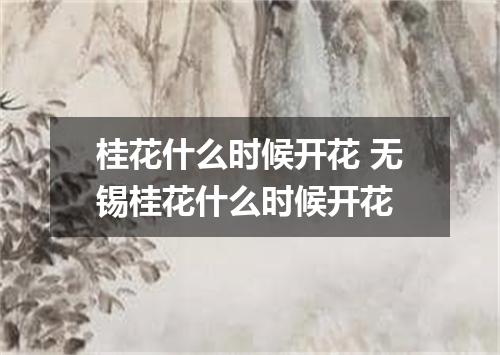 桂花什么时候开花 无锡桂花什么时候开花