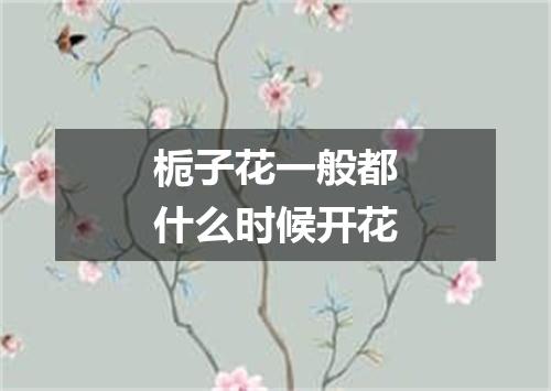 栀子花一般都什么时候开花