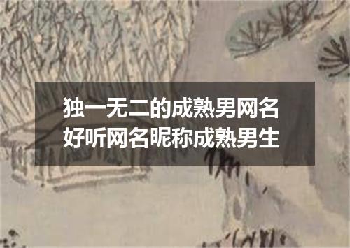 独一无二的成熟男网名 好听网名昵称成熟男生