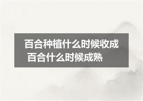 百合种植什么时候收成 百合什么时候成熟
