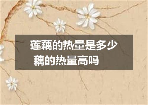 莲藕的热量是多少 藕的热量高吗