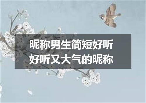 昵称男生简短好听 好听又大气的昵称