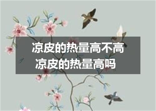 凉皮的热量高不高 凉皮的热量高吗