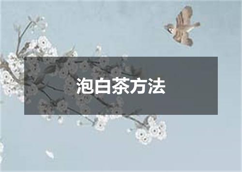 泡白茶方法