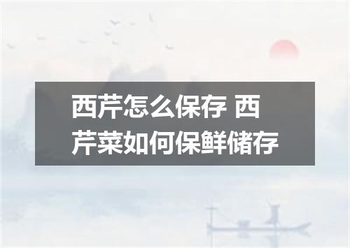 西芹怎么保存 西芹菜如何保鲜储存