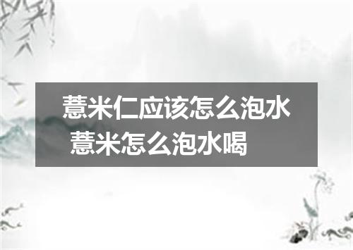 薏米仁应该怎么泡水 薏米怎么泡水喝