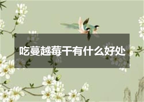 吃蔓越莓干有什么好处
