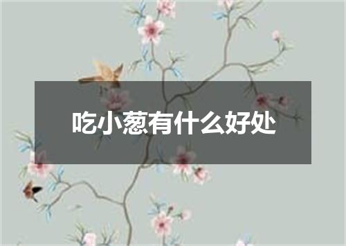 吃小葱有什么好处