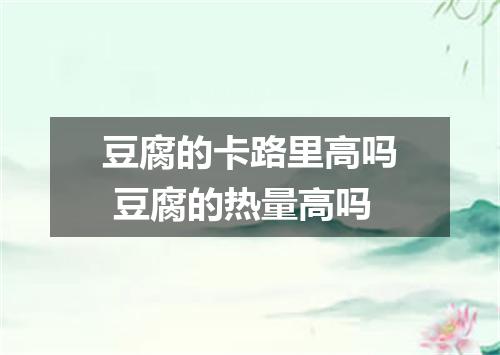 豆腐的卡路里高吗 豆腐的热量高吗