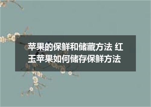 苹果的保鲜和储藏方法 红玉苹果如何储存保鲜方法