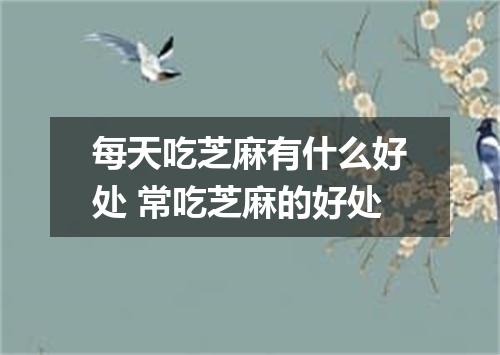 每天吃芝麻有什么好处 常吃芝麻的好处